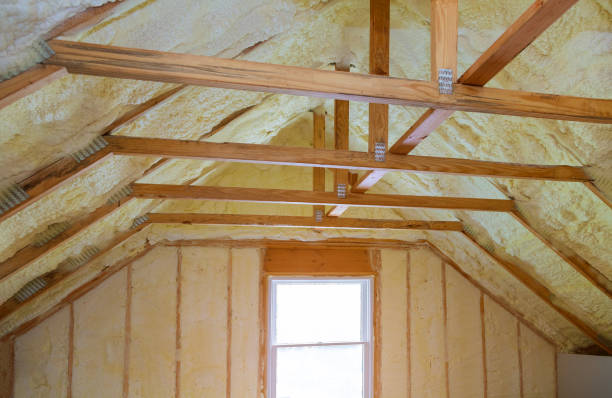 Best Insulation Contractors for Homes  in Borger, TX