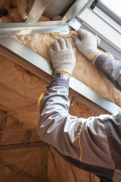 Trusted Borger, TX Insulation Contractor Experts