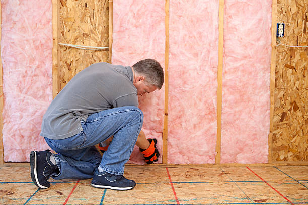 Best Insulation for Commercial Buildings  in Borger, TX