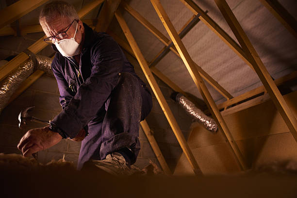 Best Commercial Insulation Contractor  in Borger, TX